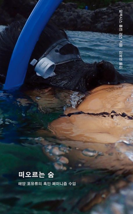 사진/ 접촉면 제공