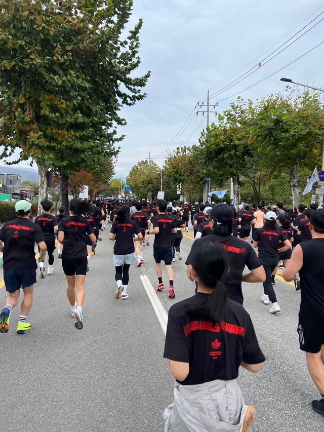 다함께 달려, 달려!