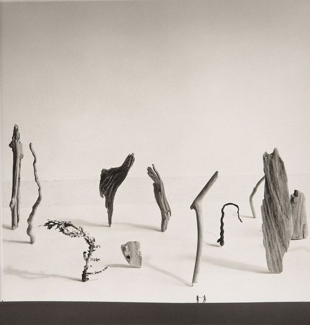 〈떠밀려온 것들(Small Drifters)〉, 1948, 22.9x21.9cm. © SHOJI UEDA