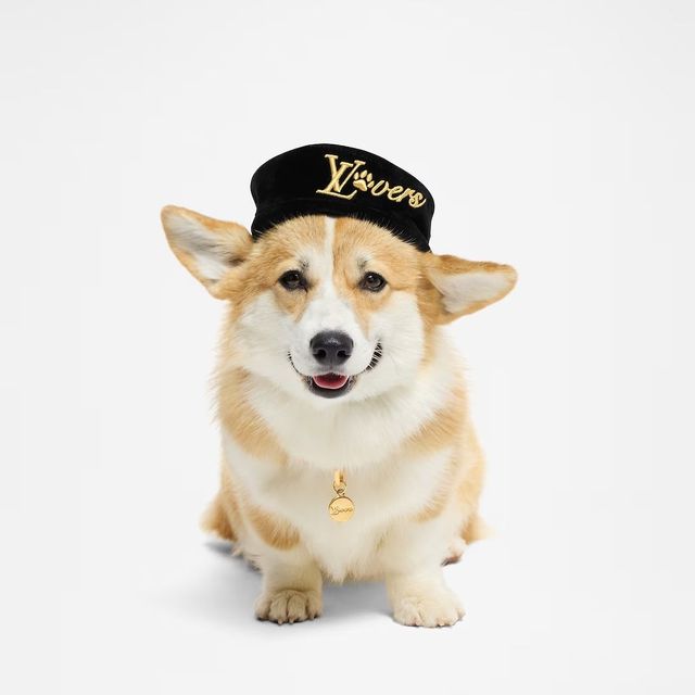 LOUIS VUITTON 도그 베레 PM 63만원.