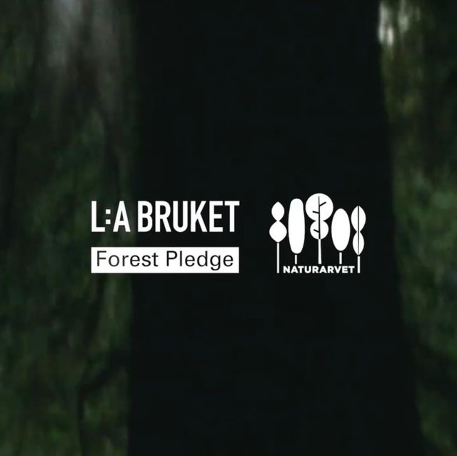 사진 출처/ 라부르켓