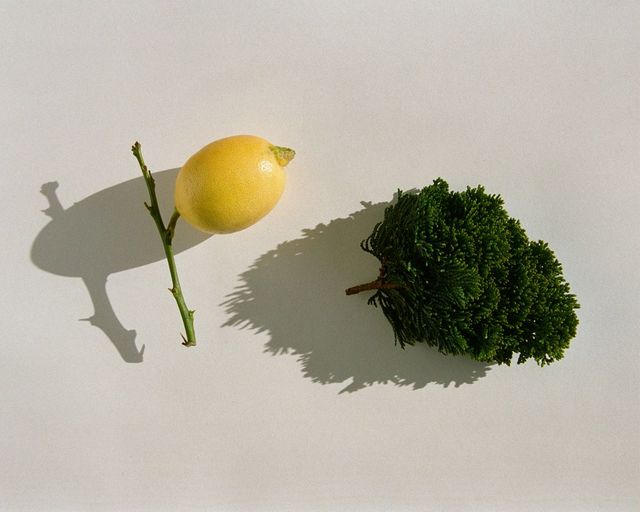 사진 출처/ 라부르켓