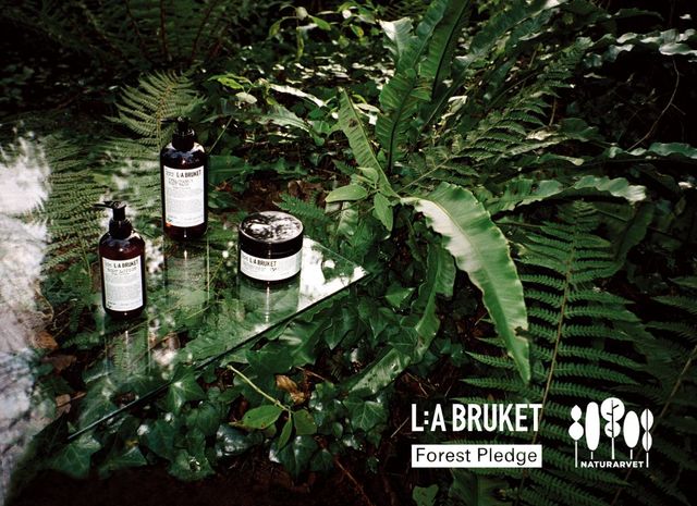 사진 출처/ 라부르켓