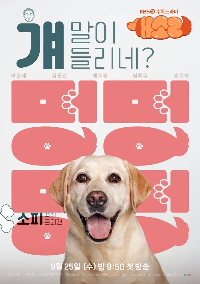 KBS 2TV 드라마 〈개소리〉 포스터 