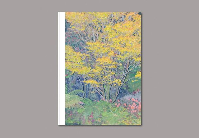  고성 사진집 〈그림자들 헤아리다 지문이 거멓다〉 이미지. 