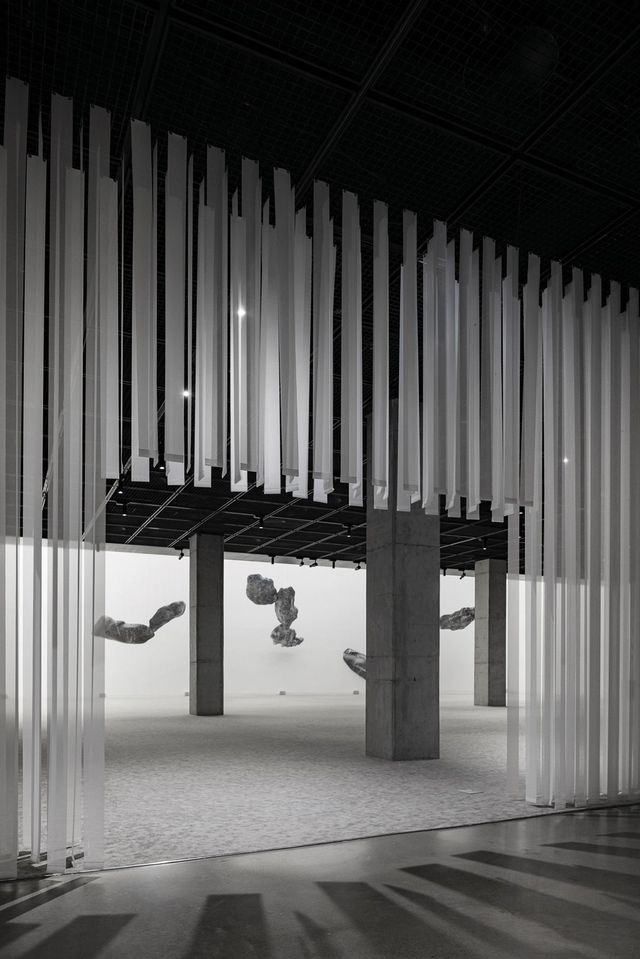 수원시립미술관 «공생(Symbiosis)» 전시 전경