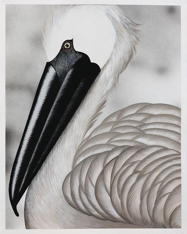 Julie Curtiss, 〈Pelican〉, 2024, Gouache on paper, 48.3x38.4cm | 19x15 1/8 in. ⓒ Julie Curtiss 화이트 큐브 제공
