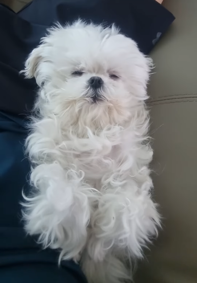 사진/ 꽃분이 @kusunghwan