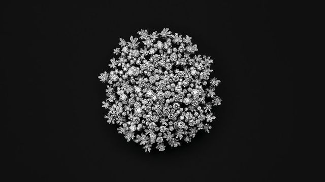 다이아몬드가 세팅된 화이트 골드 소재의 ‘플뢰르 드 카롯’ 브로치는 헤어 피스로도 착용 가능하다. 