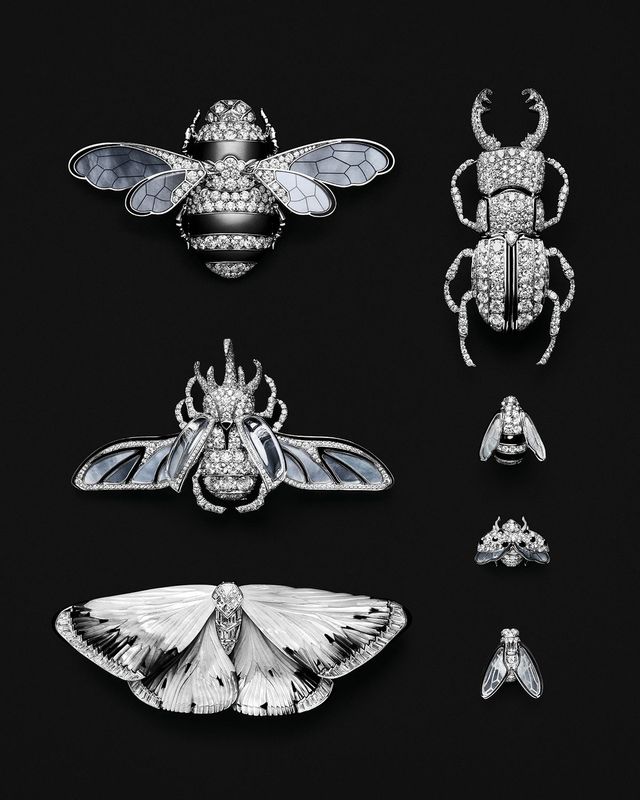 호박벌 모티프의 ‘보흐동’ 링과 벌, 무당벌레, 파리로 구성된 ‘트리오 오브 인섹트’ 등 마치 곤충 표본이 연상된다. 