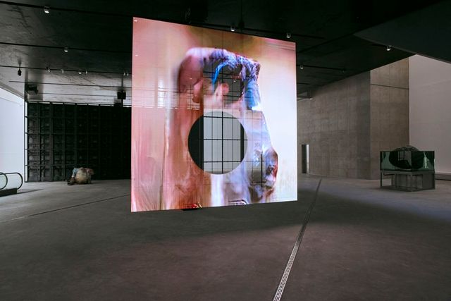 〈U움벨트-안리(UUmwelt – Annlee)〉, 2018-2025 전시 전경.