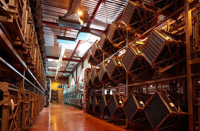 6대째 가족 경영으로 이어오고 있는 뵈브 암발은 250헥타르에 달하는 포도밭을 지속 가능한 농법으로 관리하는, 크레망 드 부르고뉴의 최대 생산지이자 와이너리다.