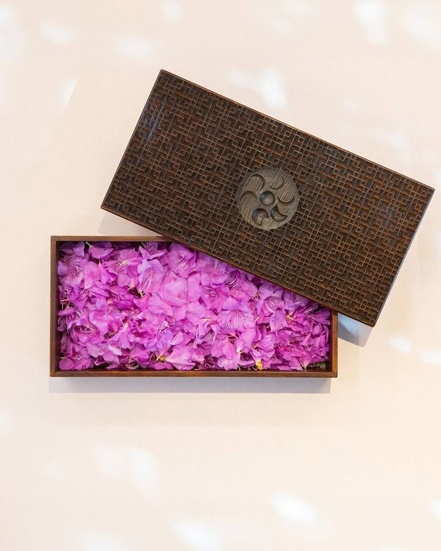 사진/1994 서울 진달래 화전 