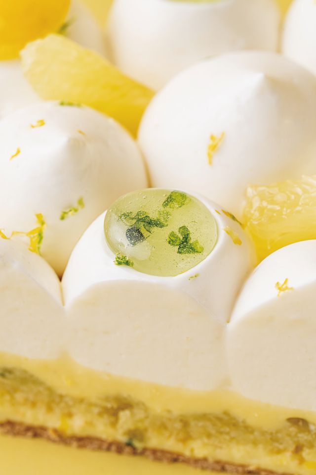 사진/가루하루, 시트러스 바질 올리브 타르트 