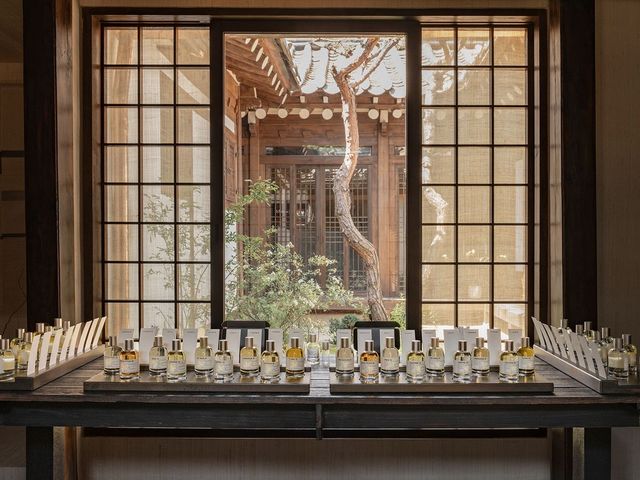 소나무, 햇빛 그리고 삼베가 한 폭의 그림처럼 어우러진 공간 