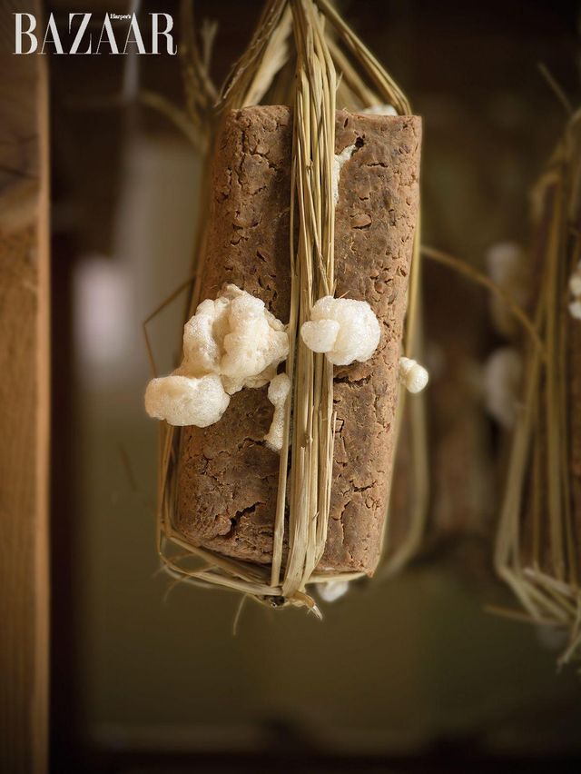 〈바실러스 초상 #5〉, 2025, Color inkjet pigment print, framed, 62x50x4cm (frame), 45x33cm (image). Courtesy of the artist and Kukje Gallery. 