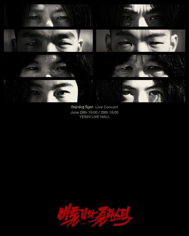 사진/ 비둘기와 플라스틱 포스터