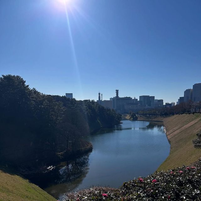 사진/@jasonrobinson