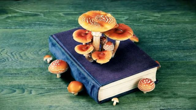 박민하, 'Ghost Anatomy 유령 해부학'