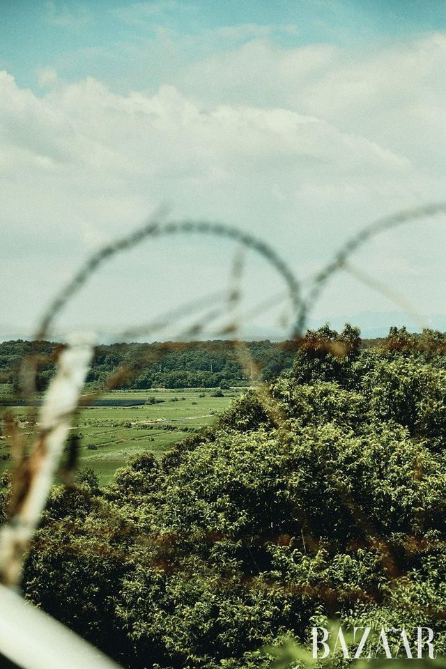 통일촌에서 남한 대성동에 꽂힌 태극기와 북한 기정동의 인공기를 한눈에 담을 수 있는 스폿. 철조망과 얼마 떨어지지 않은 곳에 방공호와 긴급 상황 시 몸을 숨길 수 있는 대피소가 있다.
