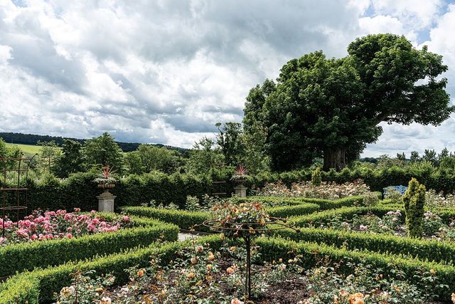 반클리프 아펠은 킹스 파운데이션을 공식 후원하고 있다. 그 관계가 시작된 퀸 엘리자베스 월드 가든 내에 위치한 ‘반클리프 아펠 로즈 가든’. 