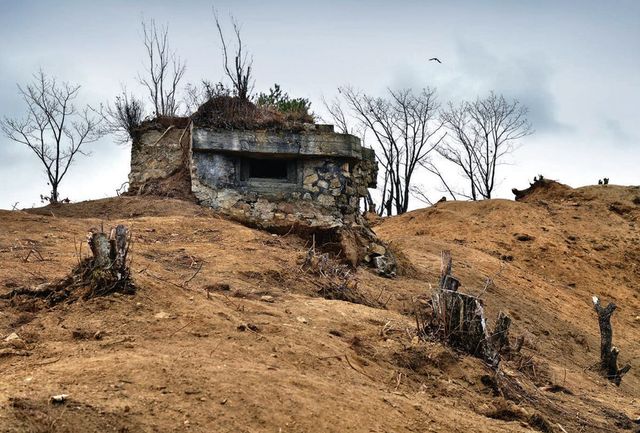 황량한 땅 위 콘크리트 구조물과 앙상하게 죽어 있는 나무가 혼재한 풍경. 작가는 이 사진에 ‘파편화된 DMZ’라는 설명을 붙였다. 사진 박종우