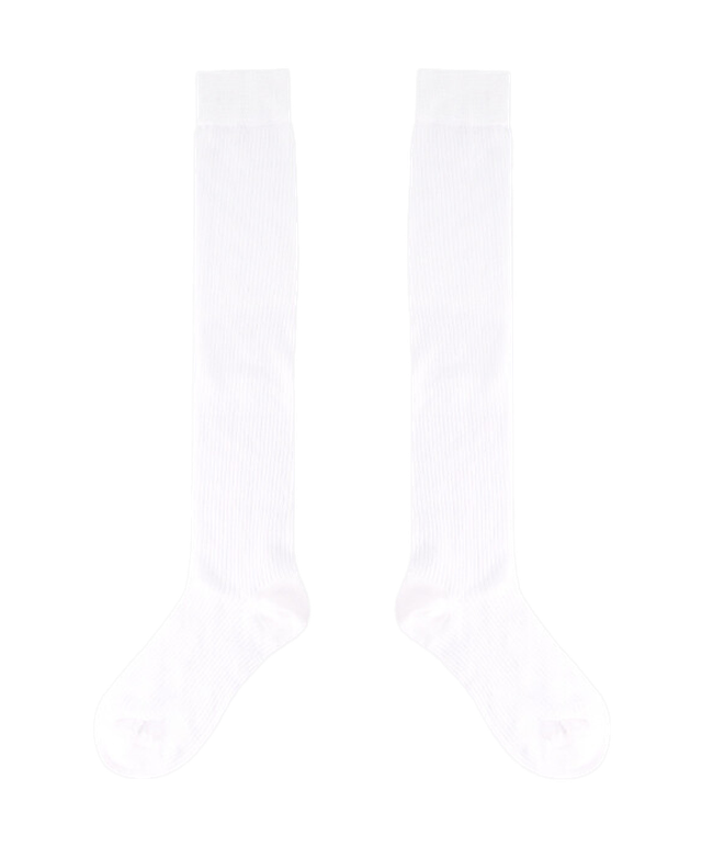 레이 시스루 골지 니삭스