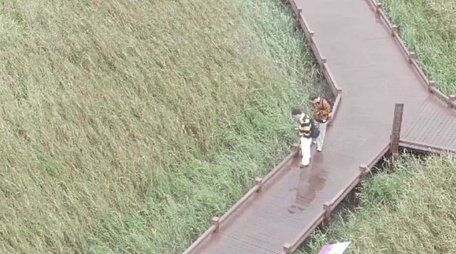 사진 제공=MBN·채널S ‘전현무계획2’