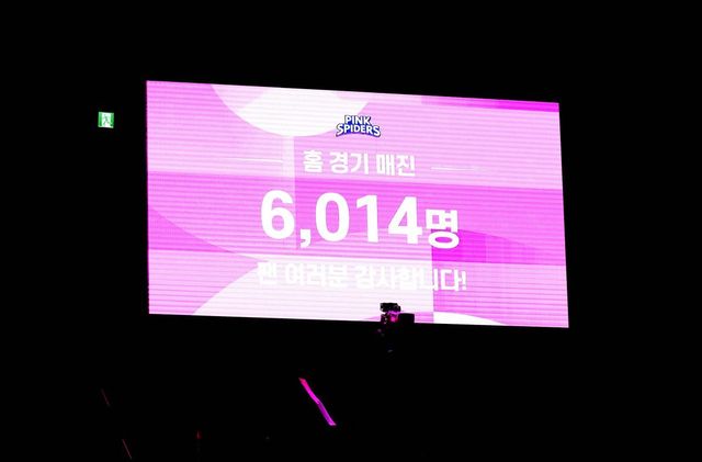 24일 흥국생명-현대건설의 ‘도드람 2024~2025 V리그’ 여자부 2라운드 경기가 열린 인천 삼산월드체육관. 이날 6014명의 관중이 경기장을 찾아 흥국생명의 인기를 가늠하게&nbsp;했다. 사진제공｜흥국생명