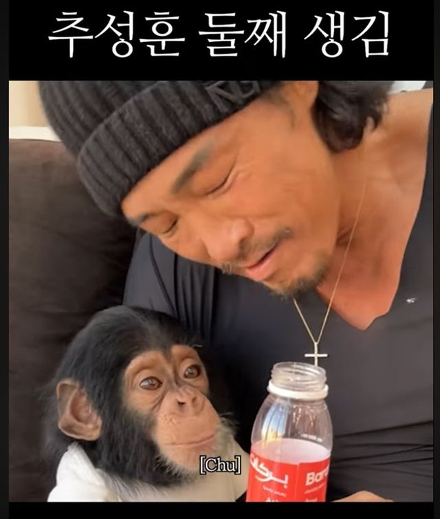 사진=추성훈 유튜브 채널 영상 캡처