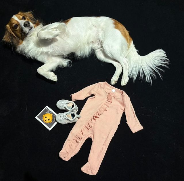 사진=오타니 인스타그램