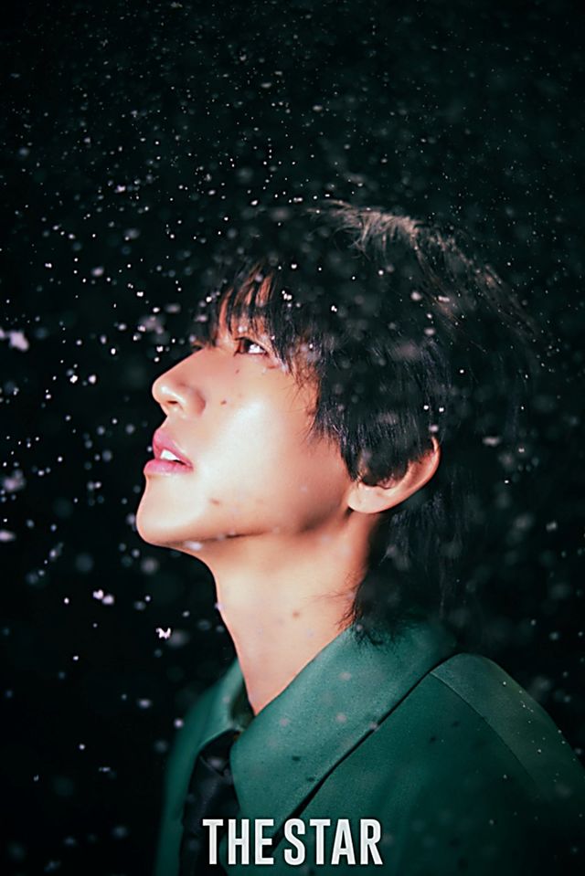 [사진제공=더스타]