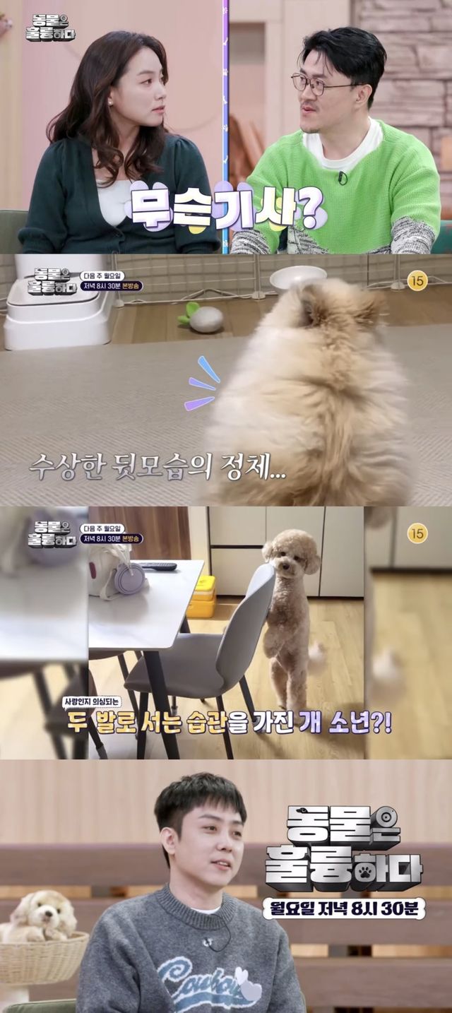 [사진 = KBS 제공]