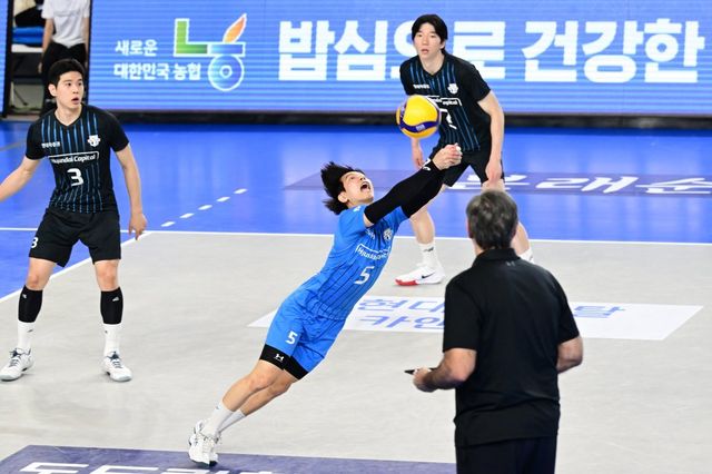 ‘도드람 2024~2025 V리그’에선 리시브 효율과 팀 순위가 비례하지 않고 있다. 상위권 팀 대다수가 리시브보다는 세터의 움직임, 공격수들의 위치 선정, 공격 속도를 앞세워 승승장구하고 있다. 사진제공｜KOVO