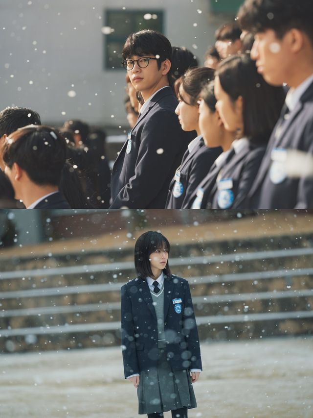 사진제공= 쇼박스, 미스터로맨스