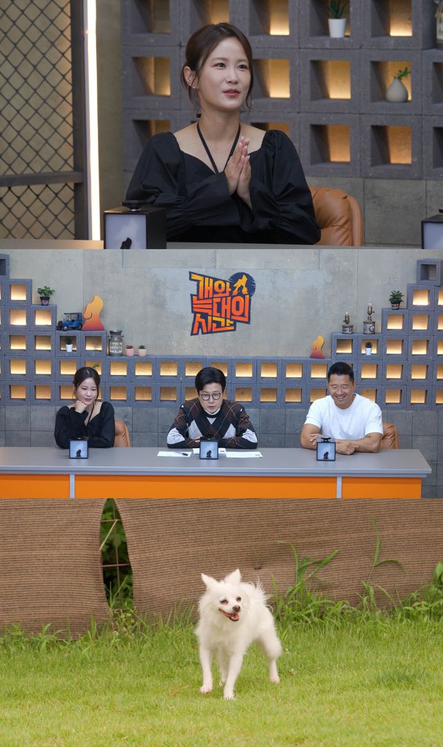 사진제공 | 채널A