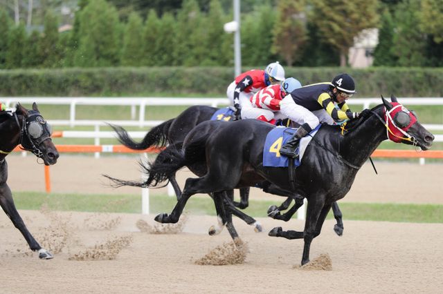 너트플레이(4번).