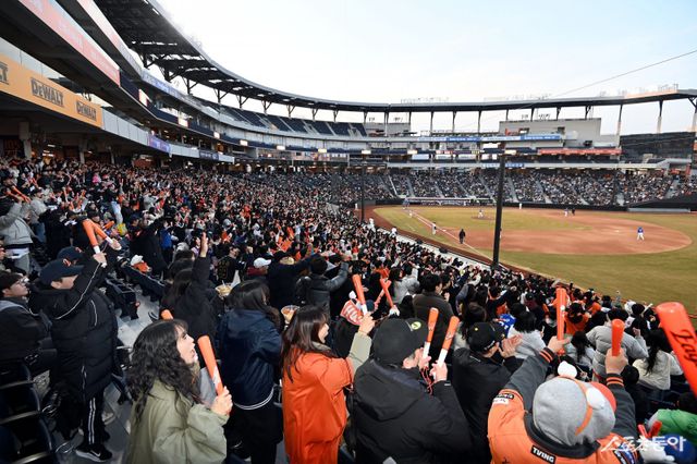 올해 가을야구에서 살아남은 LG, 한화, 삼성은 모두 인기 구단이다. 앞선 WC 결정전 2경기, 준PO 4경기가 모두 매진된 가운데 향후 PO, KS의&nbsp;최소 7경기, 최대 12경기 티켓도 모두 판매될 것이 유력하다. 한화의 홈 대전한화생명볼파크. 스포츠동아 DB