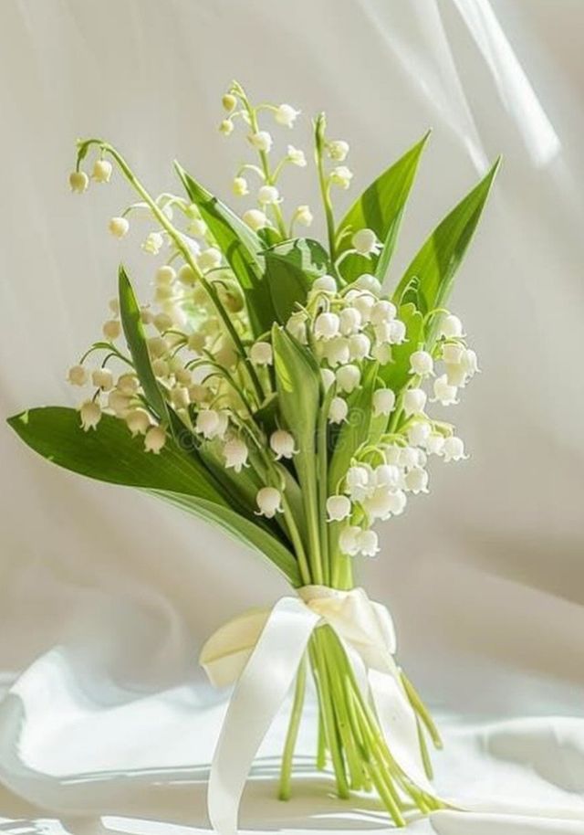 사진=함은정 인스타그램