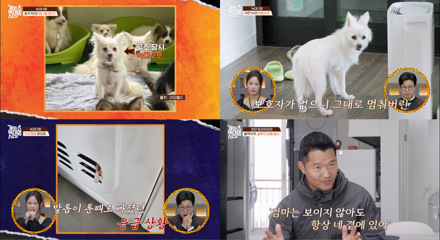 사진제공ㅣ채널A