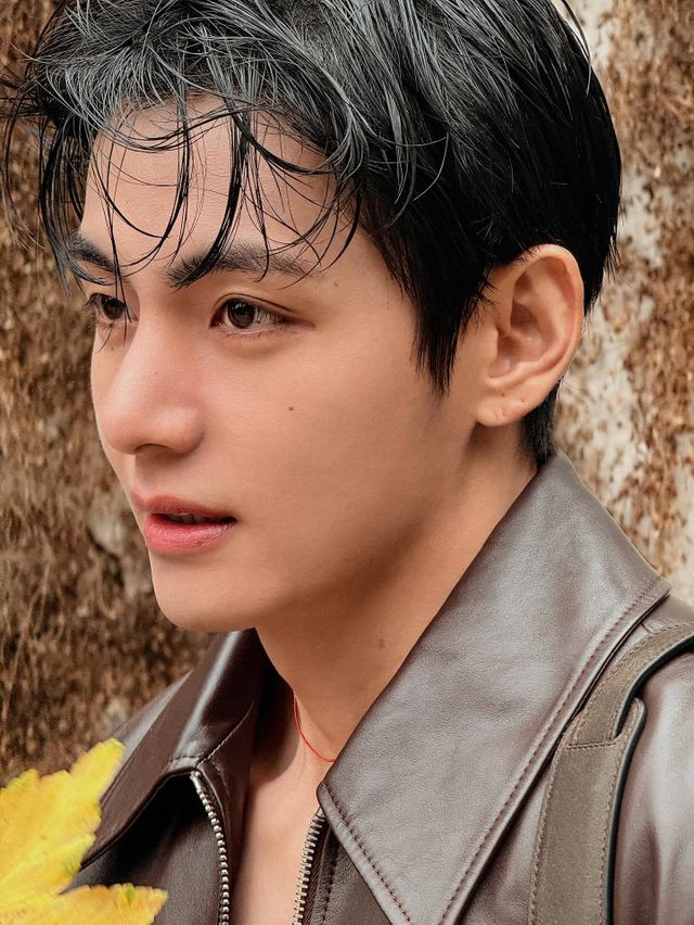 방탄소년단 뷔 SNS