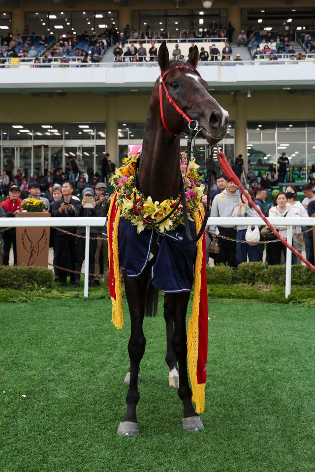 제21회 대통령배에서 우승을 차지한 스피드영.