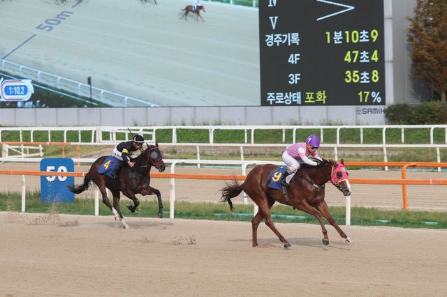 제21회 농협중앙회장배에서 제일 먼저 결승선을 통과한 치프스타와 최범현 기수(오른쪽).