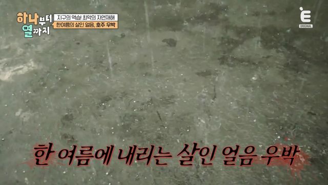 (사진 제공 = 티캐스트 E채널 ‘하나부터 열까지’)