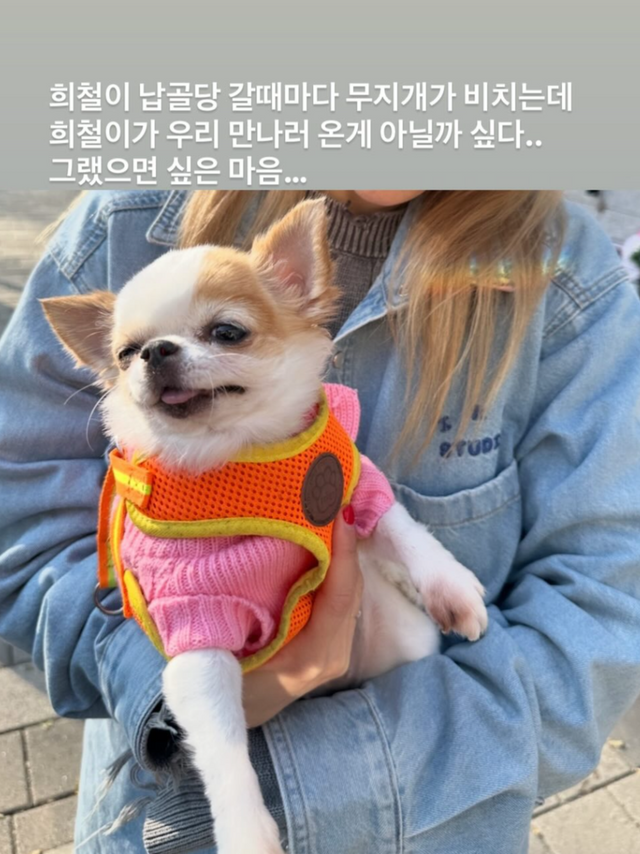 산다라박 소셜 캡처