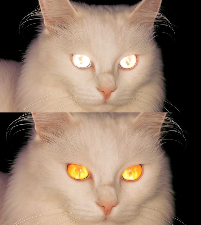 [사진=더블랙레이블 제공]