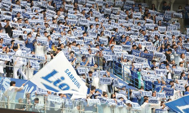 삼성이 7일 대구 NC와 WC 2차전에서 3-0의 승리를 거두고 준PO에 진출했다. 삼성 팬들이 열띤 응원을 펼치고 있다. 대구ㅣ뉴시스