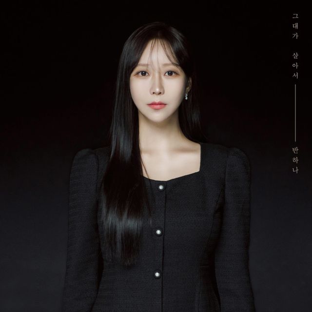 [사진 = 레이벡스 제공]