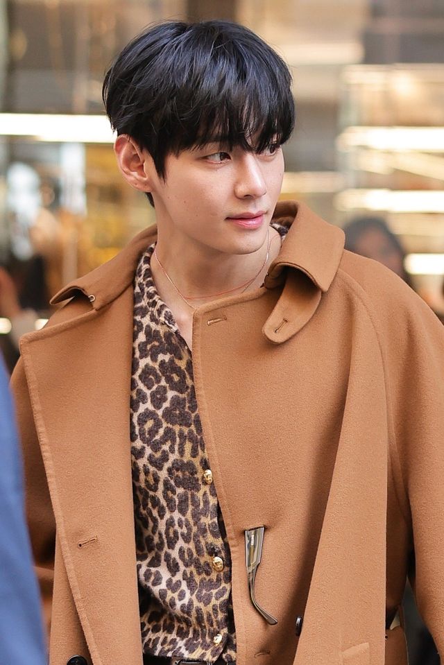 방탄소년단 뷔, 패션위크