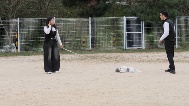 사진 제공 : KBS 2TV 〈개는 훌륭하다〉